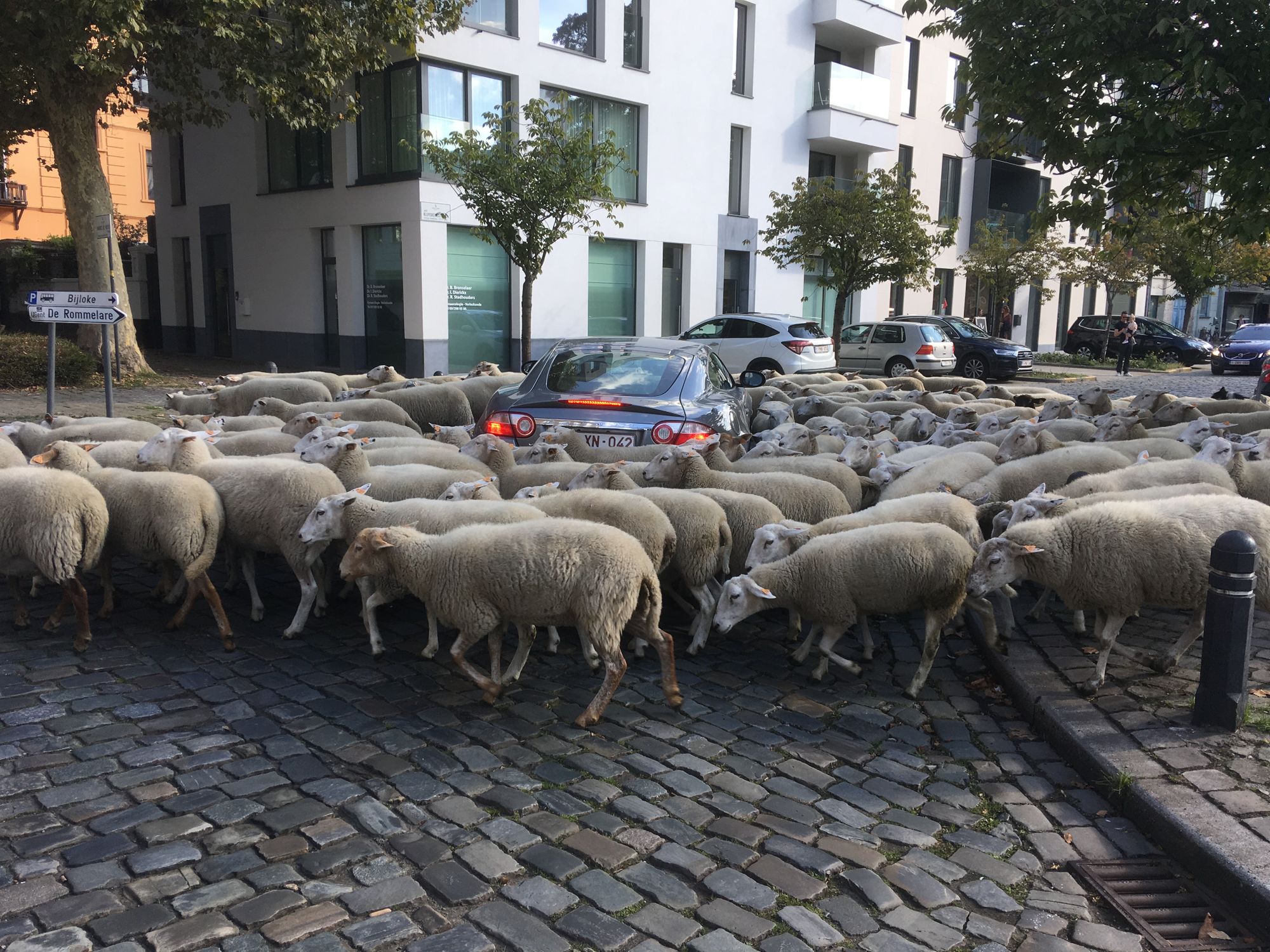 Naar een klimaatneutrale stad